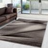Laagpolig Vloerkleed Design Bruin/Terra